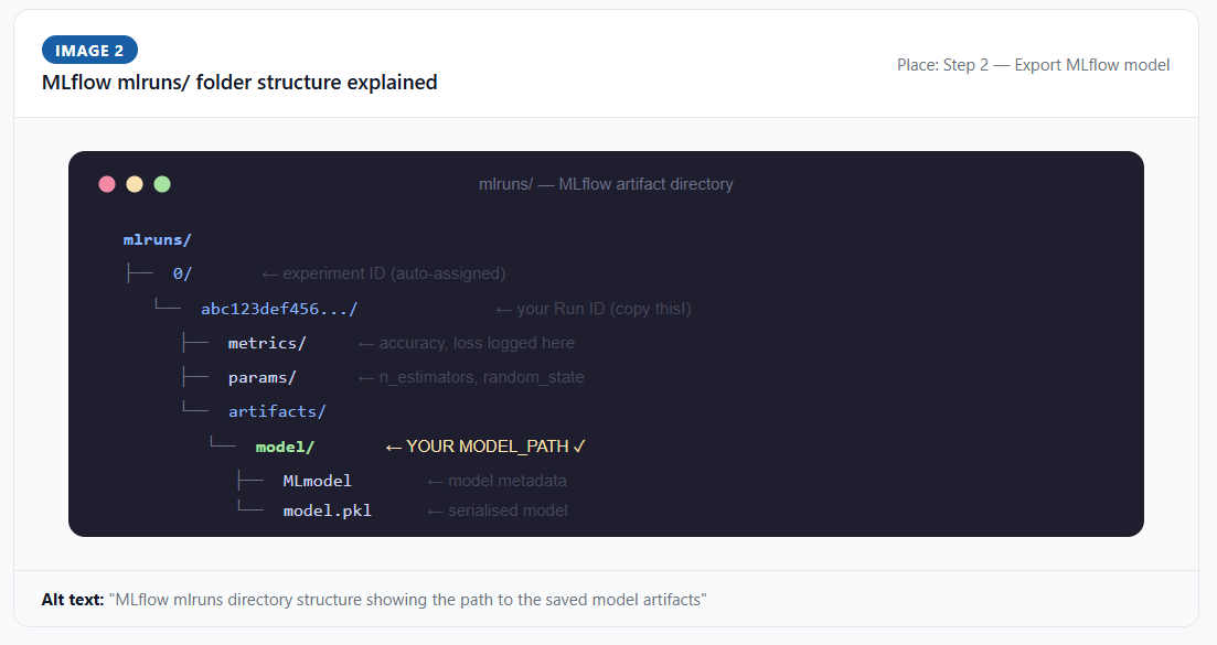 Terminal output showing training script execution